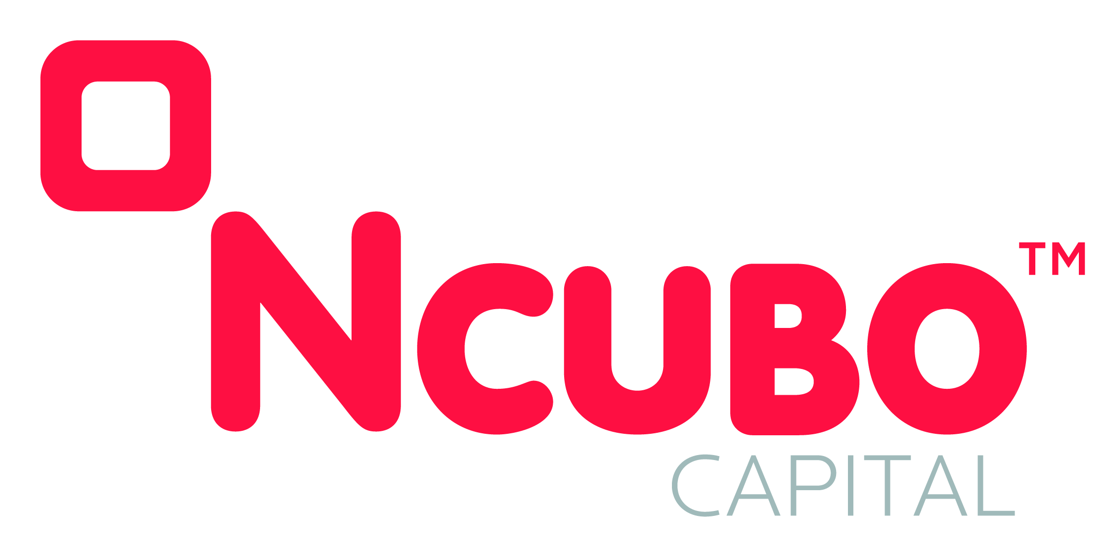 Ncubo Company Logo