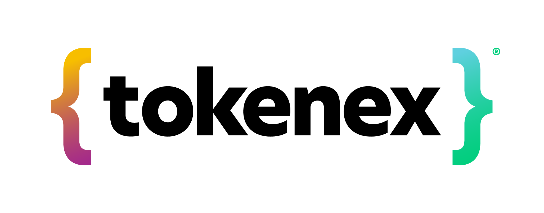 TokenEx Company Logo